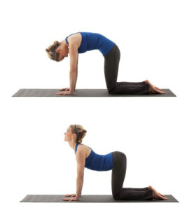 A two-part image of woman, first on her hands and knees with her back arched up and head down in cat pose, then with torso pulled down and head up in cow pose