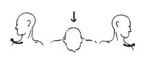 A cartoon of three heads demonstrating neck circles: one turned to the right, one looking down, and the third turned to the left