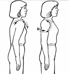 A two-part cartoon showing shoulder circles, first a relaxed shoulder, then with the shoulder pulled back